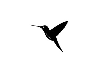 Hummingbird Logo Vector Image Design 