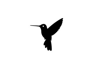 Hummingbird Logo Vector Image Design 