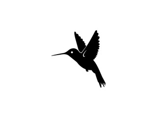 Hummingbird Logo Vector Image Design 