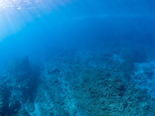 ヒリゾ浜の美しい半水面撮影,

静岡県伊豆半島賀茂郡南伊豆町中木ヒリゾ浜2024年
