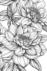 Black and White Flower Drawing