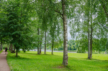 Beautiful clean green park in summer