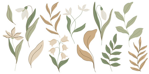 Elegant botanical flat illustration with soft green leaves and pastel pink flowers, lilies of the valley and snowdrops. Minimalist design with a muted color palette, perfect for spring decor