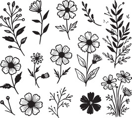 Flower Vector Illustration in black and white