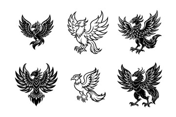 set of eagle with wings  with white background