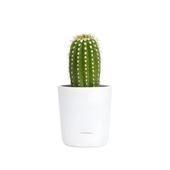 Miniature potted cactus on a white background, showcasing a minimalistic and modern design ideal for decor, office spaces, and indoor gardening inspiration.
