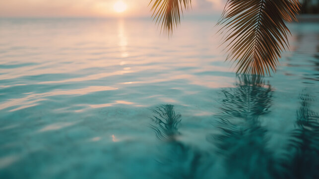 serene tropical sunset over calm ocean waters with palm leaves gently swaying in breeze, casting shadows on tranquil sea surface