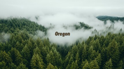 Misty Forests and Scenic Oregon Landscape Celebrating National Oregon Day, Scenic Landscape, and Earth Day