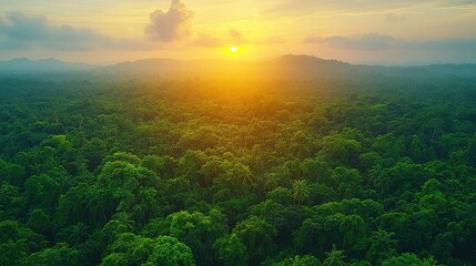 A breathtaking sunset over a lush green forest, highlighting nature's beauty and tranquility.