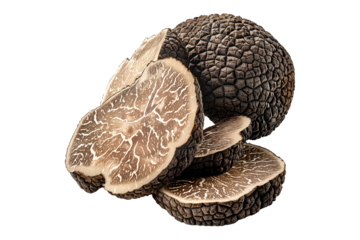 Fresh black Perigord truffles isolated on white transparent background, great for culinary and gourmet themes.
