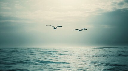 Two Seagulls Flying Over a Calm Ocean Under a Cloudy Sky