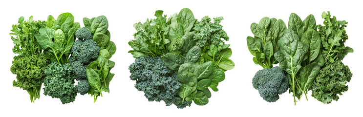 Fresh Green Leafy Vegetables Isolated on Transparent Background