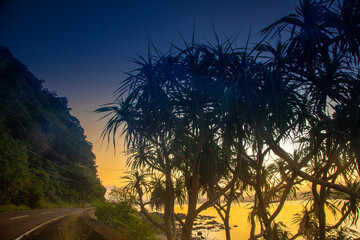夜明けの龍郷湾