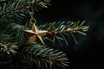 Star and fir branch on black background with soft lighting.