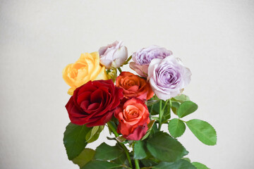 カラフルなばら