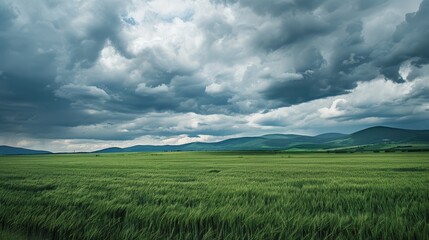 Fototapeta premium Picturesque Summer Landscape with Lush Green Fields and Distant Mountains