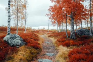 Autumn Serenity in Nordic Forests