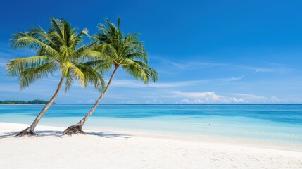 Fototapeta premium Tropical Beach Paradise