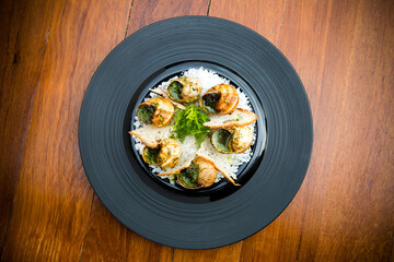 Escargot Edible Snail French Cuisine