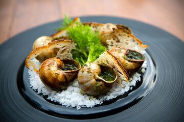 Escargot Edible Snail French Cuisine