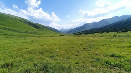 Fototapeta premium Serene Mountain Valley