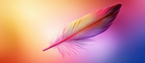 Colorful feather on gradient background with soft focus and ample copy space for text insertion