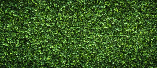 Artificial green grass texture background with vibrant leaves and ample copy space for text insertion.
