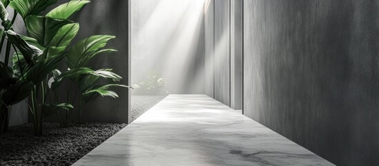 Modern minimalist hallway with sunlight streaming through, featuring greenery and marble flooring, Copy Space available.