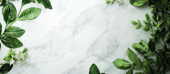 Marble texture background with green leaves and white flowers arranged on the edges providing ample copy space for text insertion