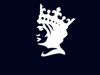 black cat on white background