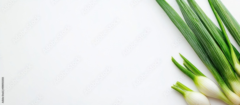 Poster fresh green onions on a white background with copy space for text or graphics