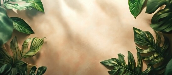 Fototapeta premium Natural textured background with green tropical leaves framing light sand or stone surface Copy Space for design elements