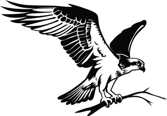 Illustration of a Powerful Hawk Osprey  Silhouette - A Stunning Illustration of an Osprey with Its Wings Fully Spread Perched Elegantly on a Branch