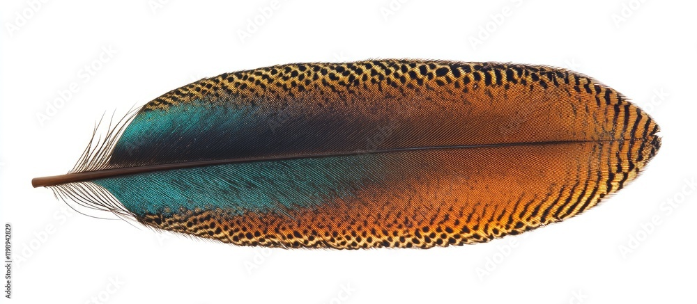 Poster colorful bird feather with intricate patterns and textures on a white background copy space