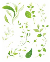 "Natural and Organic Floral Elements on White Background for Clean Design"