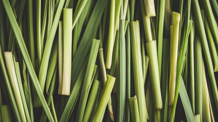 Fototapeta premium Fresh green lemongrass stalks laid out on a textured surface with Copy Space for text placement