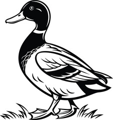 Stylized Duck Silhouette - A monochromatic stylized illustration of a mallard duck depicted with detailed line art standing on grass in a natural