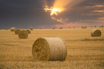 Bales of hay in a european field shot in dramatic sunlight