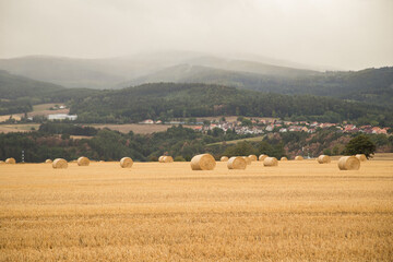 Autumn harvest in a European field with bales of hay and misty hill in background
