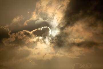 夜明けの龍郷湾とアダン