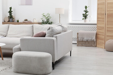 Light living room interior. Comfortable sofa and other furniture indoors