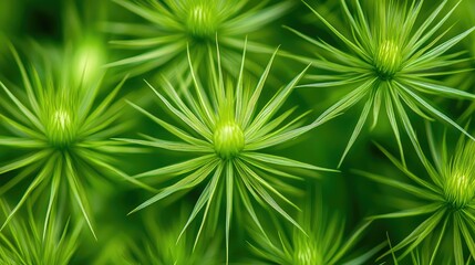 Detailed close-up of vibrant green wild needles with ample copy space for text.