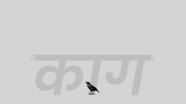 Kaag, crow