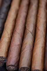 A detailed shot of multiple cigars arranged together