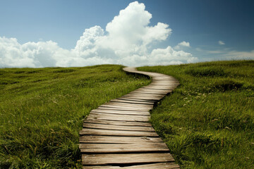 Fototapeta premium Wooden path lush green meadow blue sky