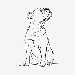 Fototapeta premium Stylish Cute Dog Line Art Vector for Art and Design
