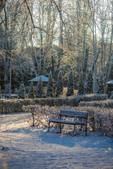 Winter january landscape in the park at morning,daylight on the picture ,beautiful morning with...