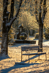Winter january landscape in the park at morning,daylight on the picture ,beautiful morning with...