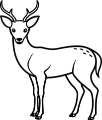 Fototapeta premium silhouette of a deer