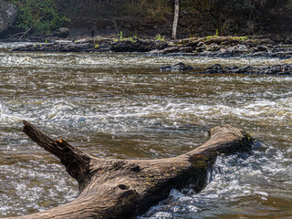  Massive Log Protrudes Into Fast Water